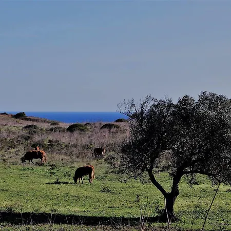 Otel Turismo De Natureza Burgau